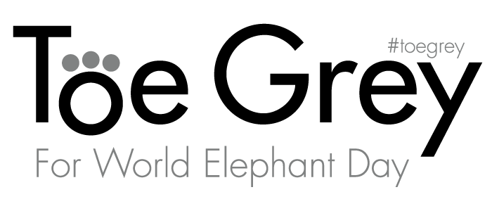 ToeGreyLogo2